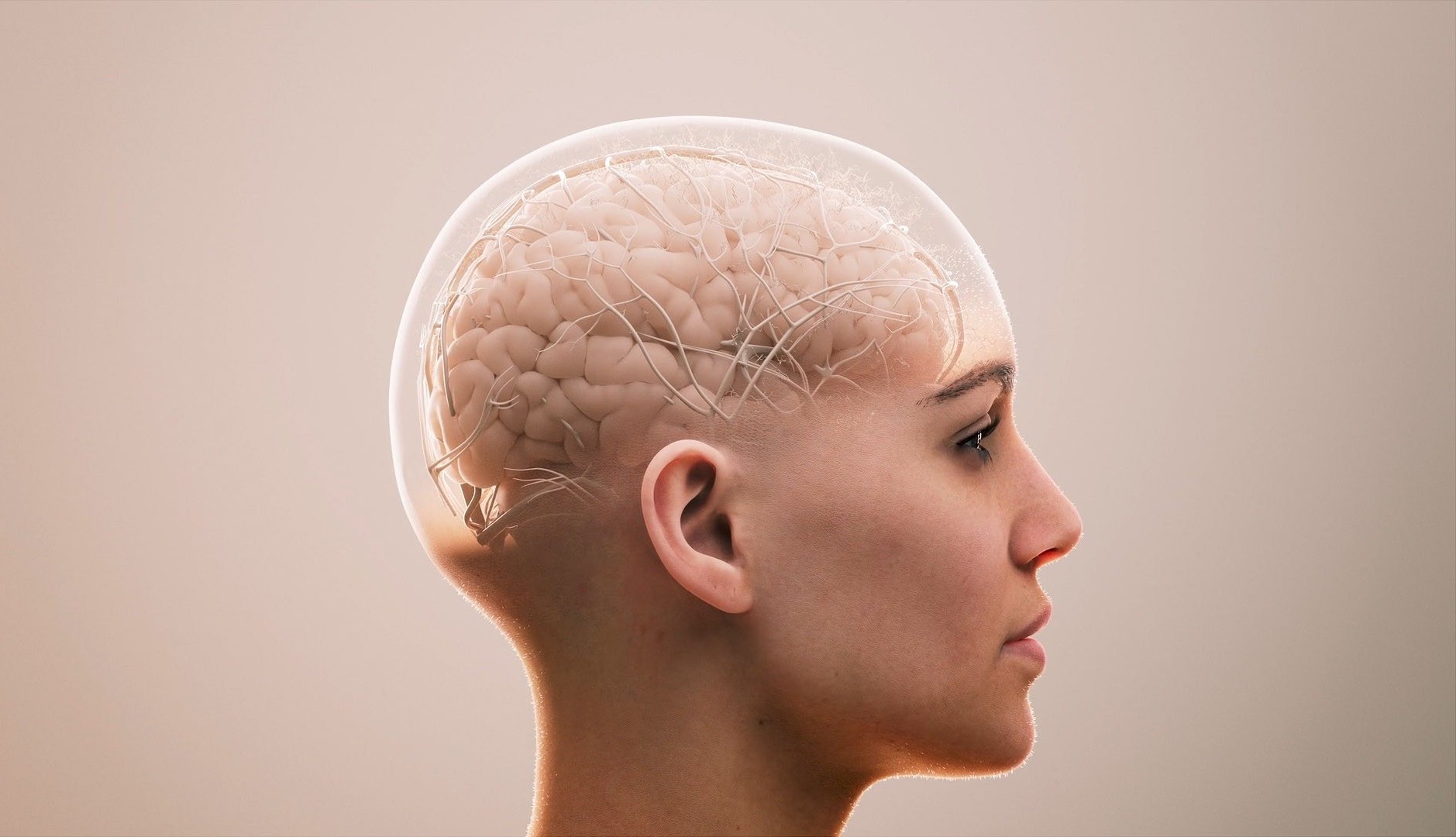 3D animation of sideview of head where brain network is visible.jpg